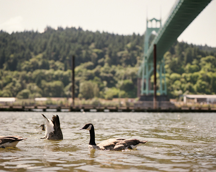 Cathedral Park - Mamiya RZ67 - medium format portrait - Portland portrait photographer