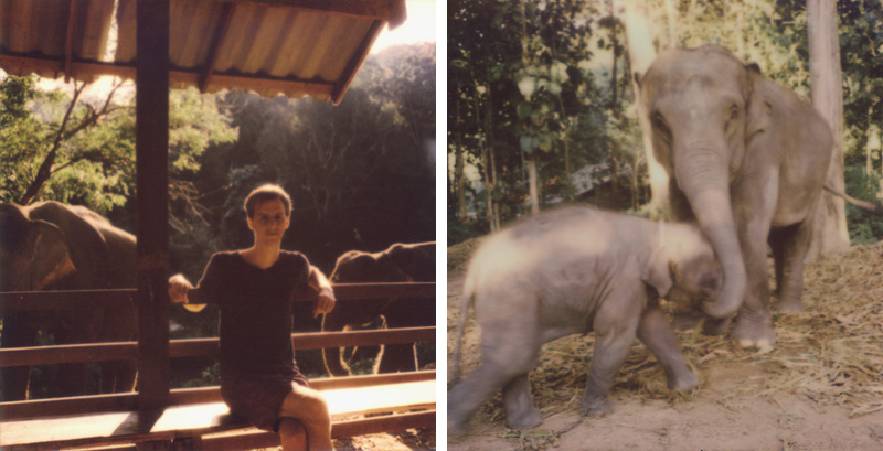 Chris visiting elephants at Chai Lai Orchid | SLR680 Polaroid