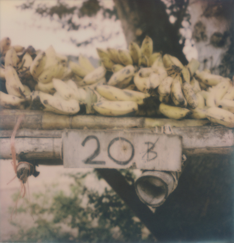 Bananas for sale in Thailand | SLR680 Polaroid