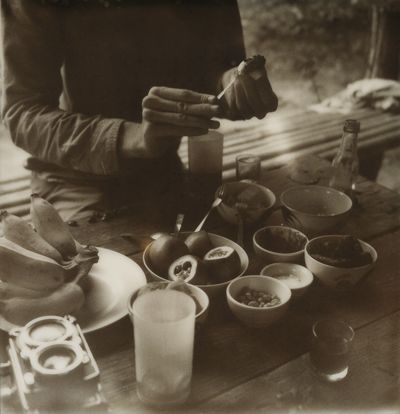 Eating food at the Farmer's Land Crack in Pai, Thailand | SLR680 Polaroid