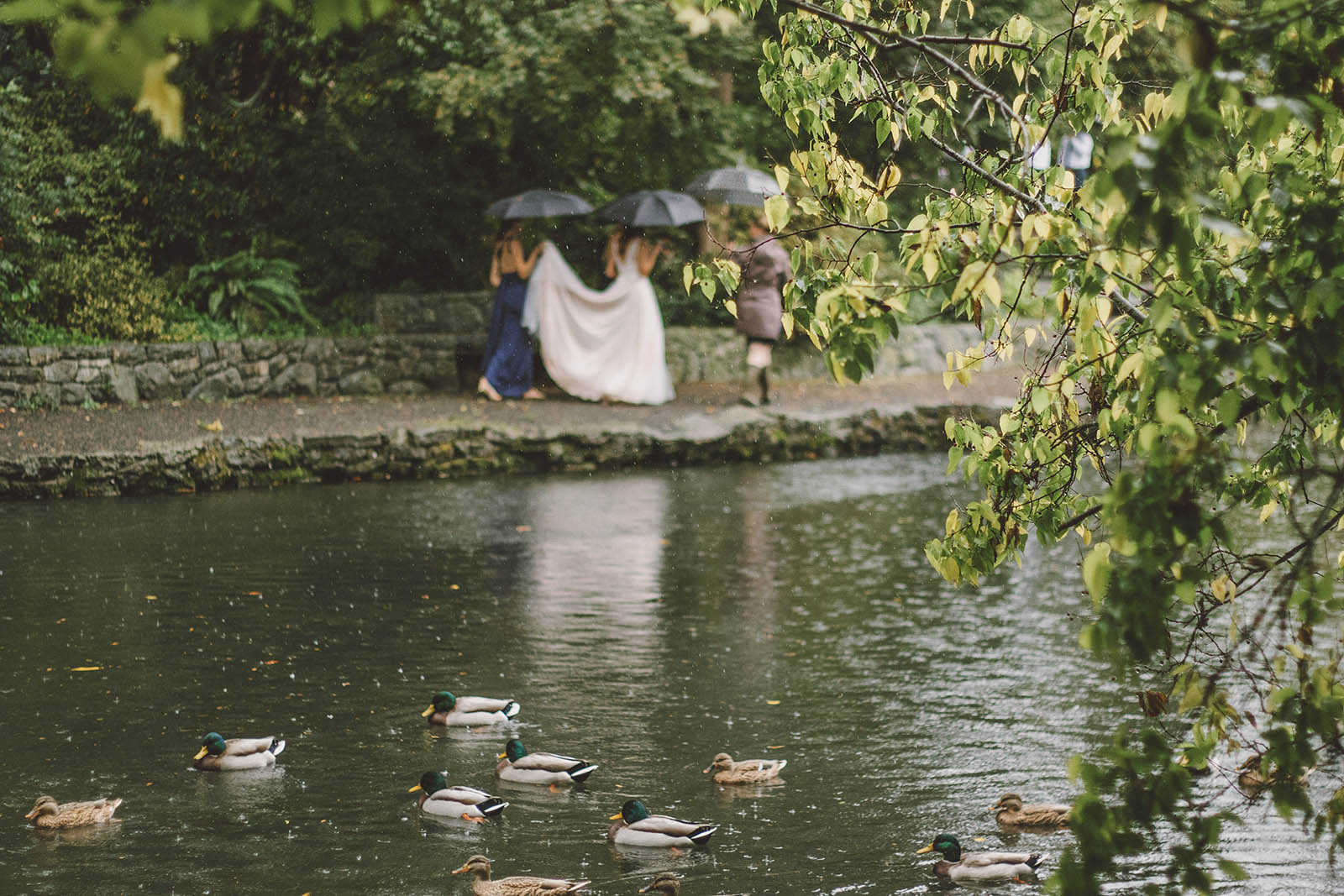 Crystal Springs Rhododendron Garden wedding ceremony