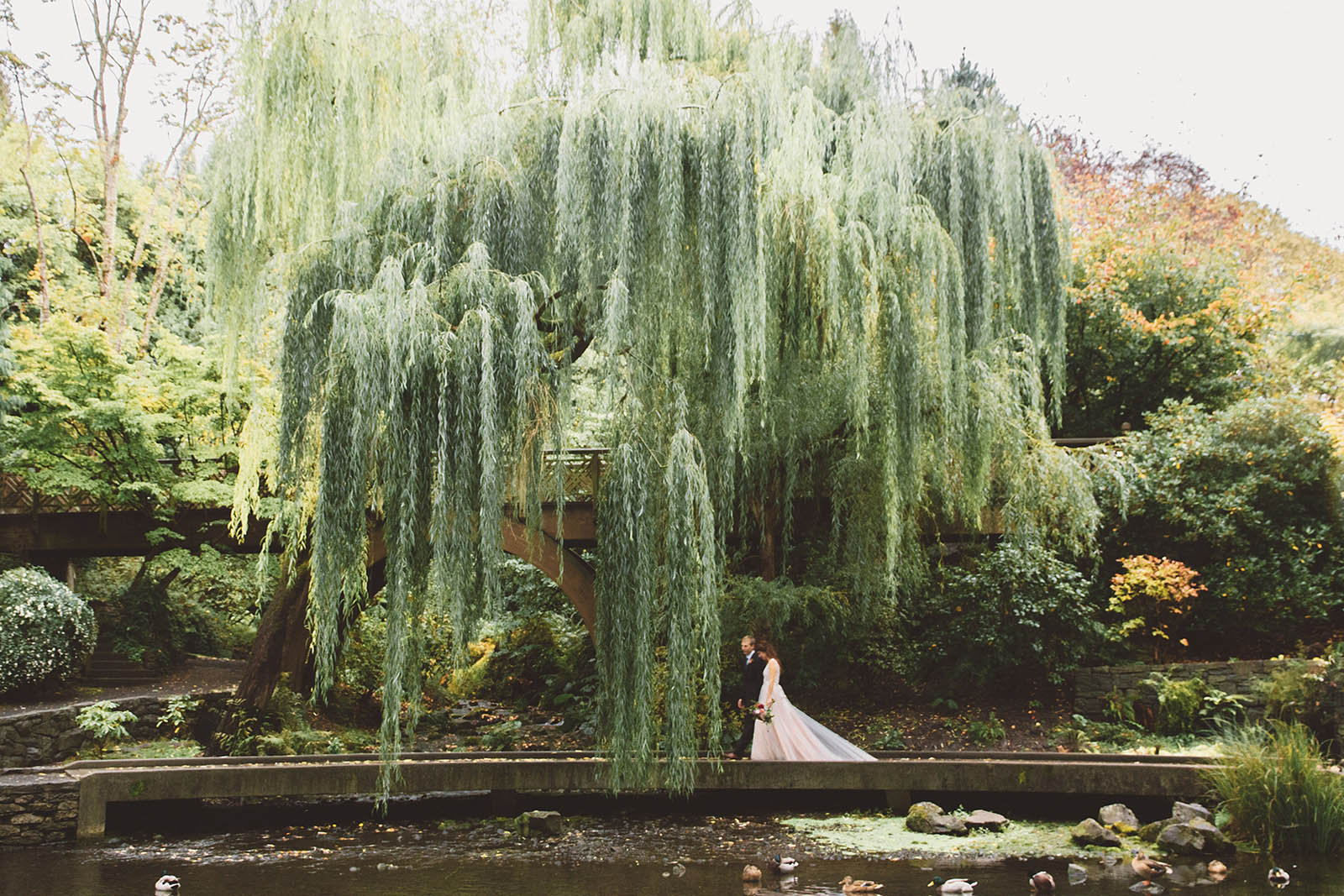 Portraits of Bride and Groom under a willow tree at Crystal Springs Rhododendron Garden