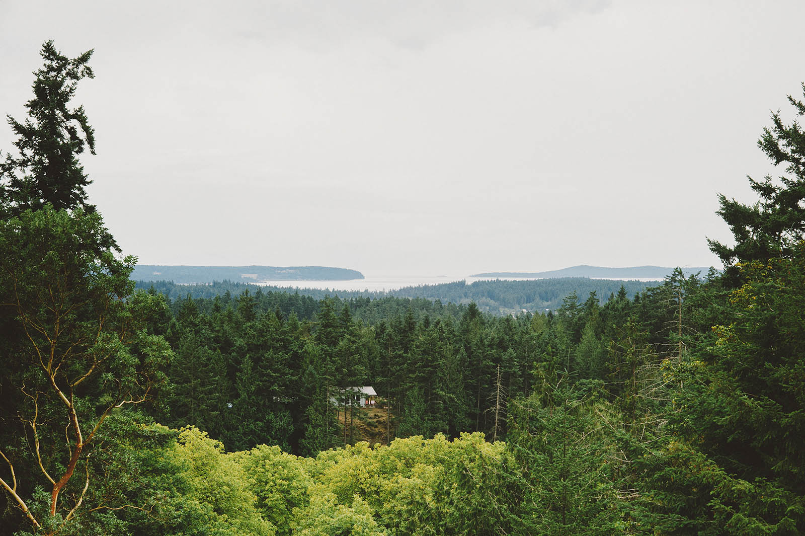 © Kim Smith-Miller | www.kimsmithmiller.com