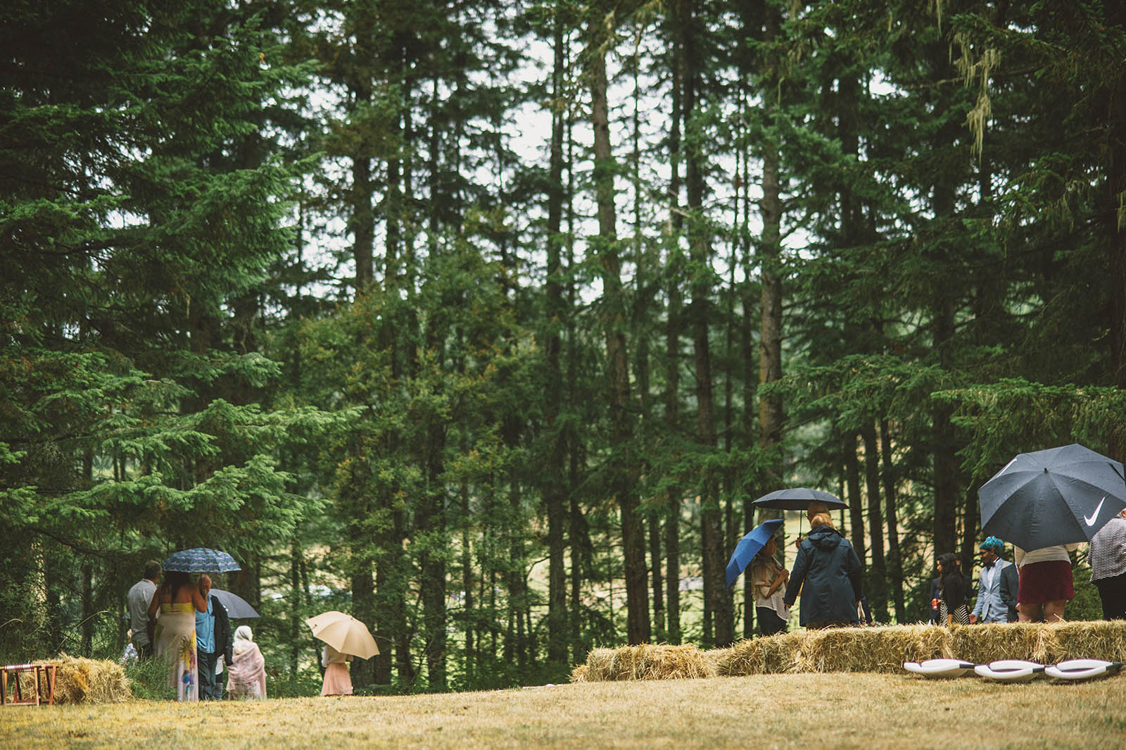 © Kim Smith-Miller | www.kimsmithmiller.com