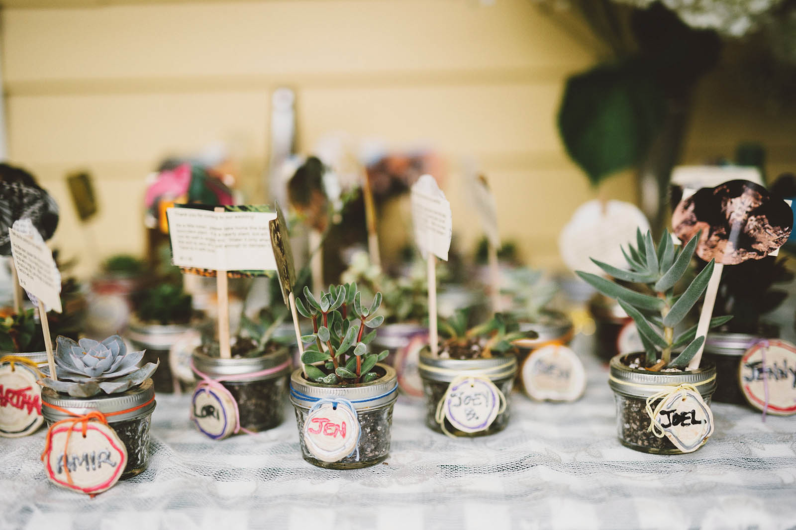 © Kim Smith-Miller | www.kimsmithmiller.com