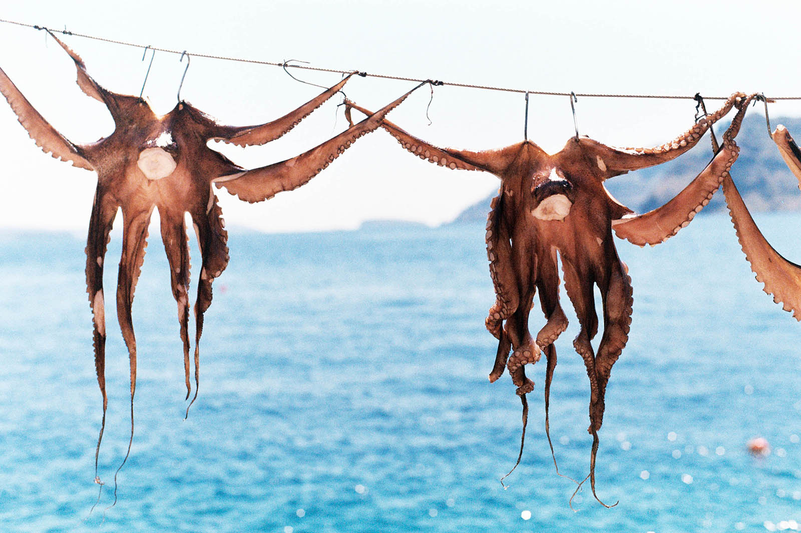 Greece Wedding Photographer