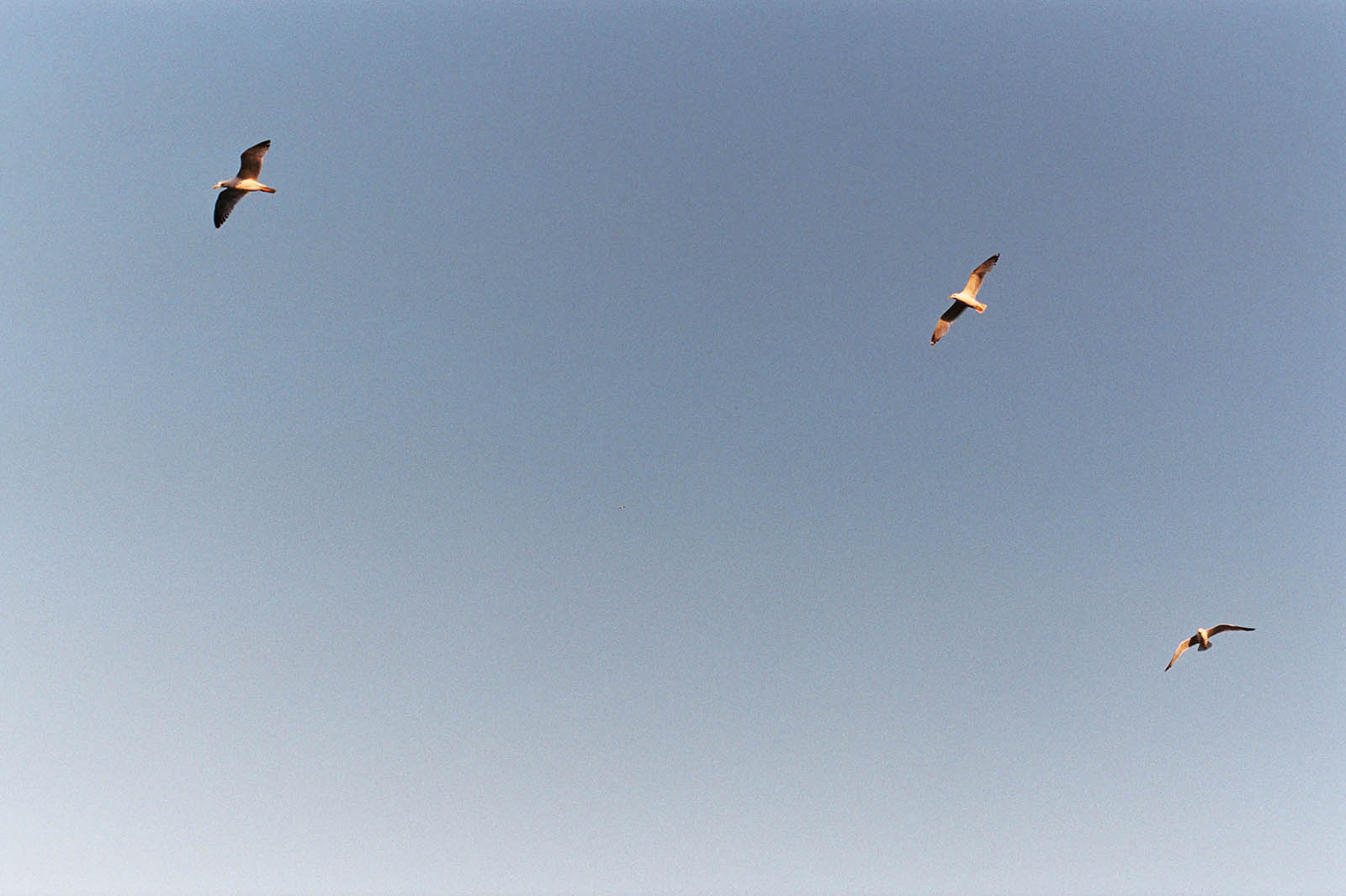 Greece Wedding Photographer