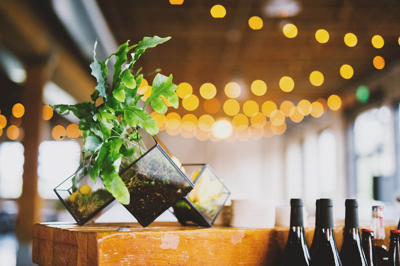 Geometric planters at the bar | Castaway Portland Wedding