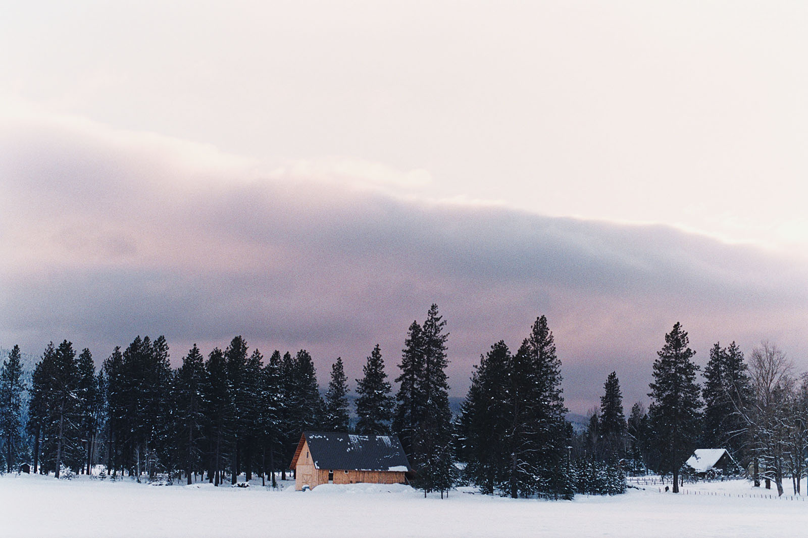 Driving to Trout Lake, WA | Contax Aria