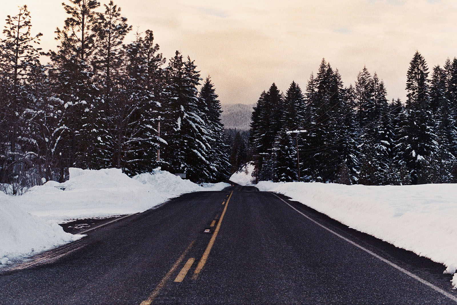 Driving to Trout Lake, WA | Contax Aria