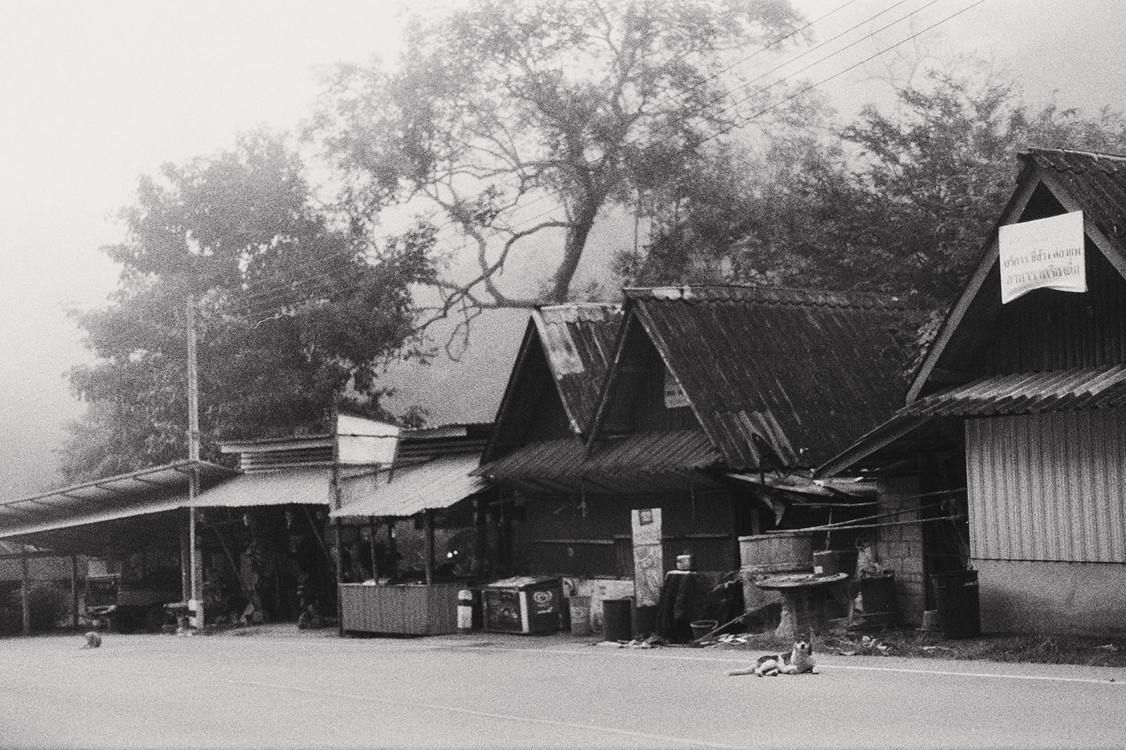Mae Wang on a foggy morning | Thailand Travel Photos