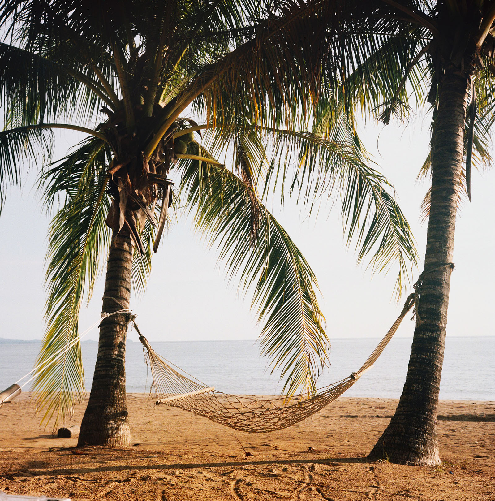 Hammock between palm trees at Baan Koh Mak | Thailand Travel Photos