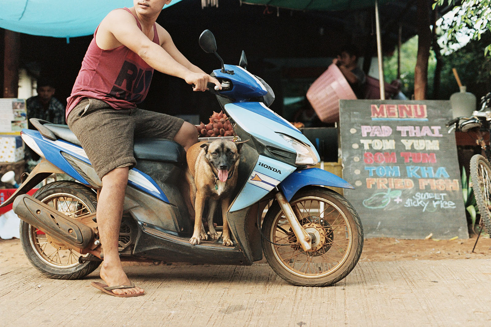 Delivery driver and his dog | Thailand Travel Photos