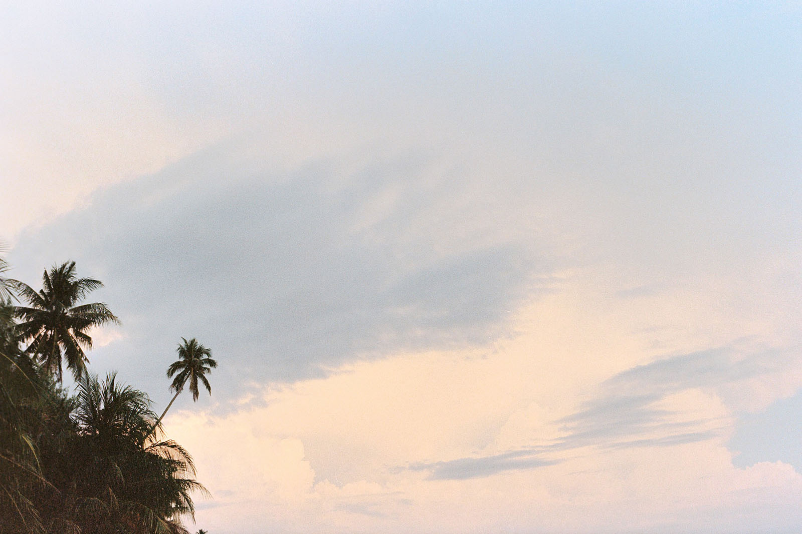 Palm trees at sunset on Koh Mak | Thailand Travel Photos