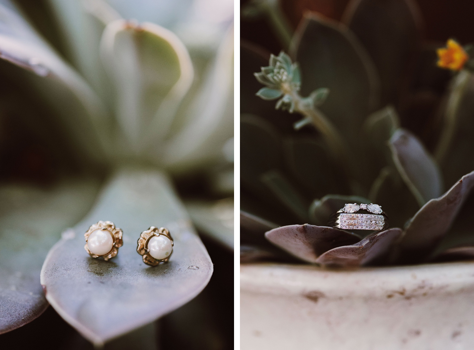 Bride's earrings and rings shot on succulent leaves | Backyard Chico California Wedding