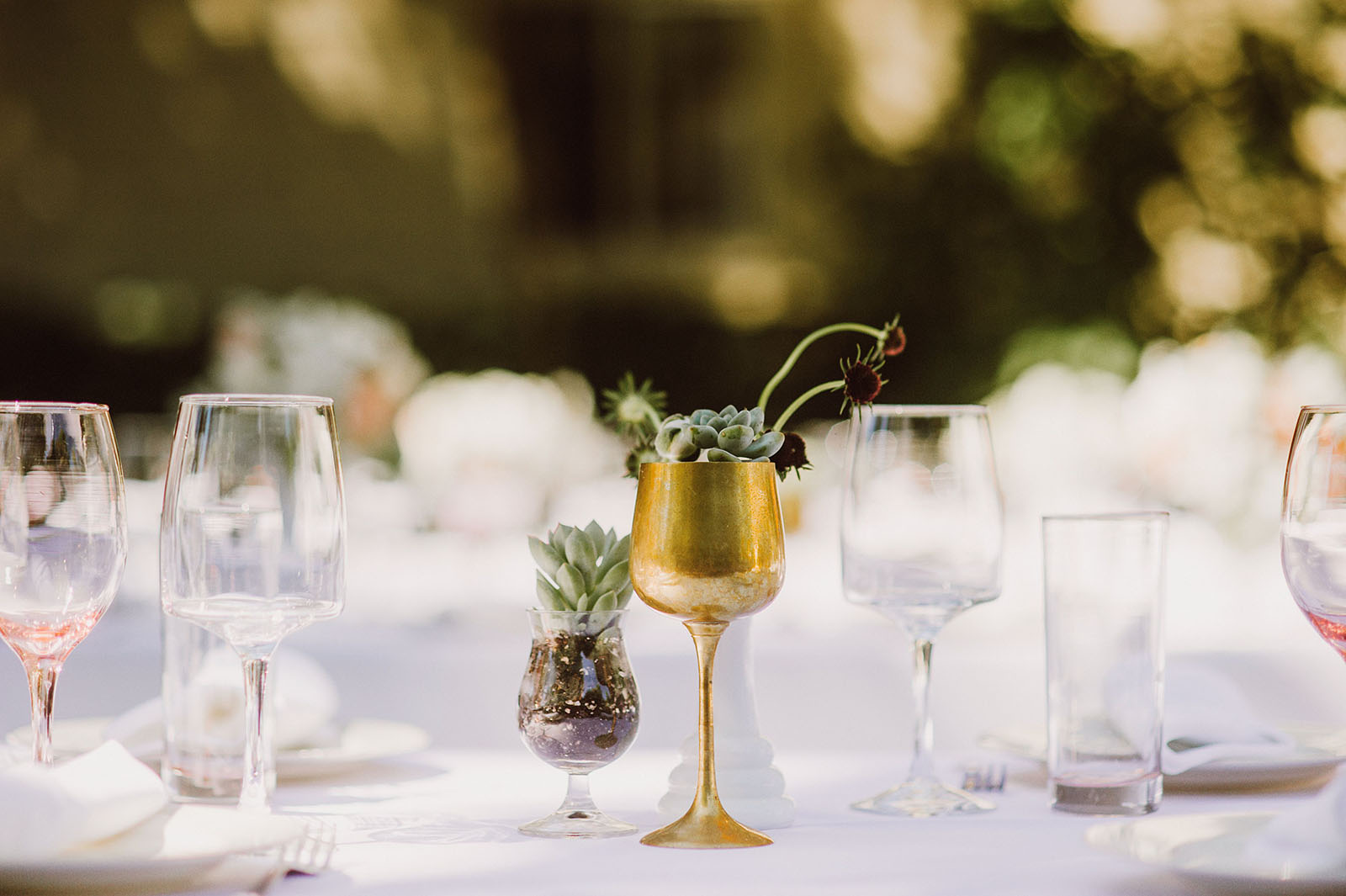 Gold goblet and succulent table settings | Backyard Chico California Wedding