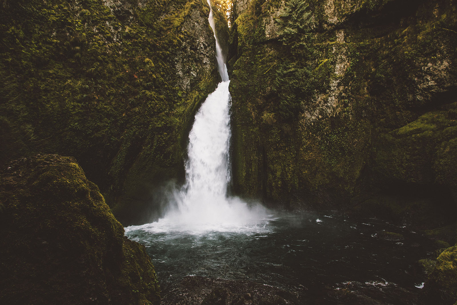 Wahclella Falls Wedding