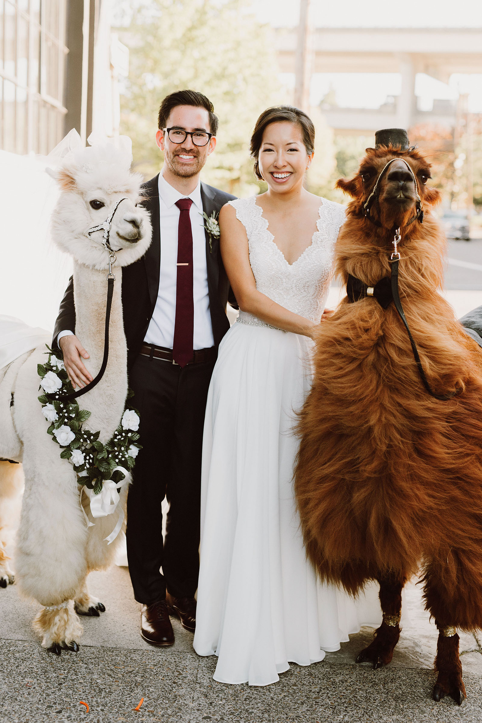 Bride and Groom with wedding llamas, Rojo and Napoleon | Portland Castaway Wedding
