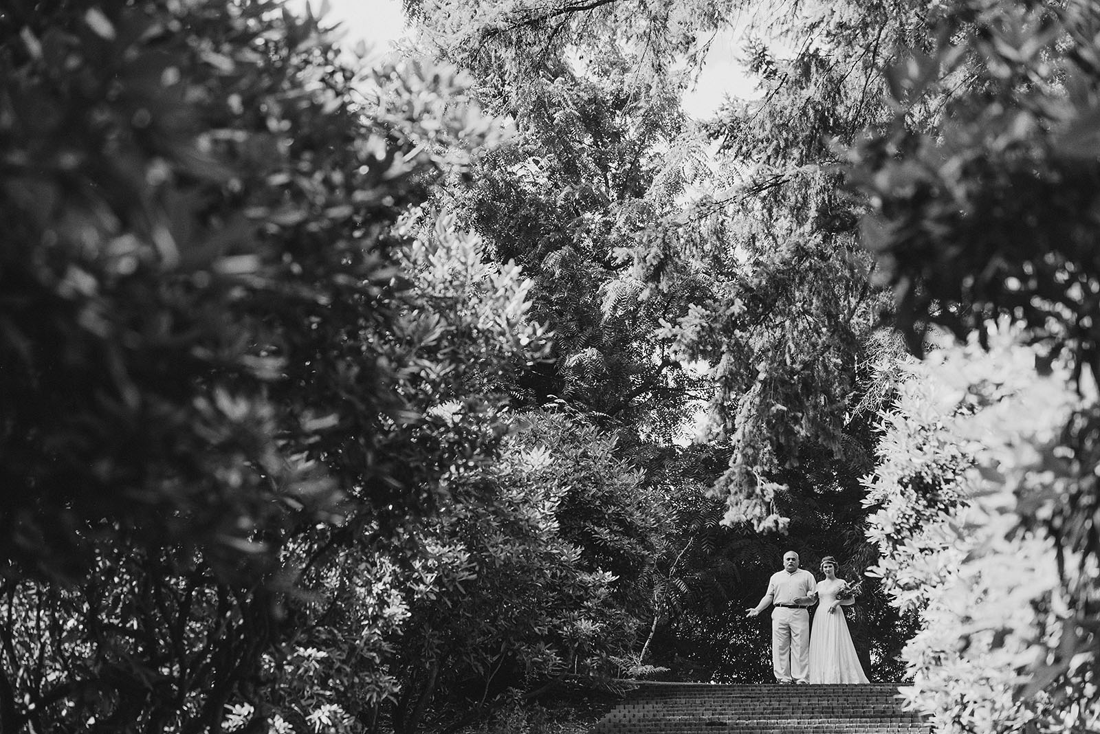 Ceremony on the stairs in Laurelhurst Park | Downtown Portland Elopement