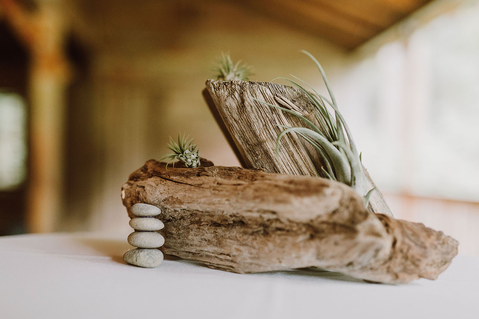 Airplants and driftwood centerpieces for a Camp Namanu wedding