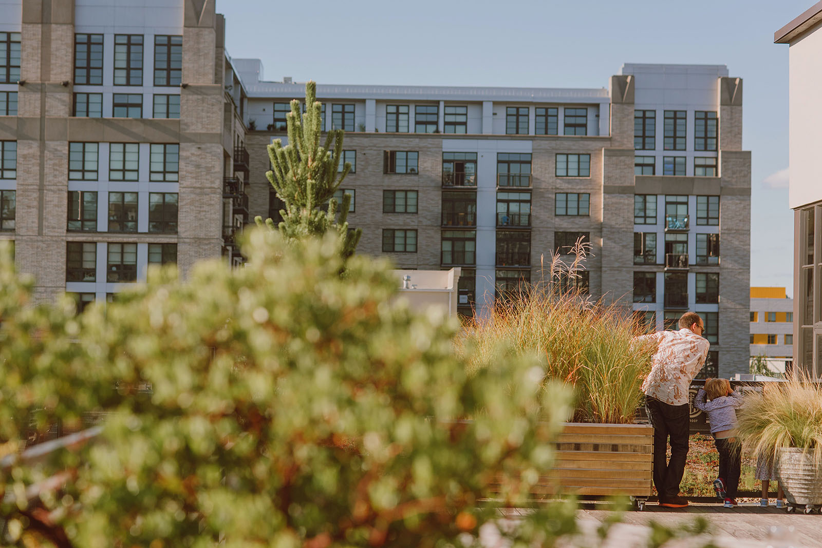 Guests enjoying the rooftop view at an Ecotrust Wedding