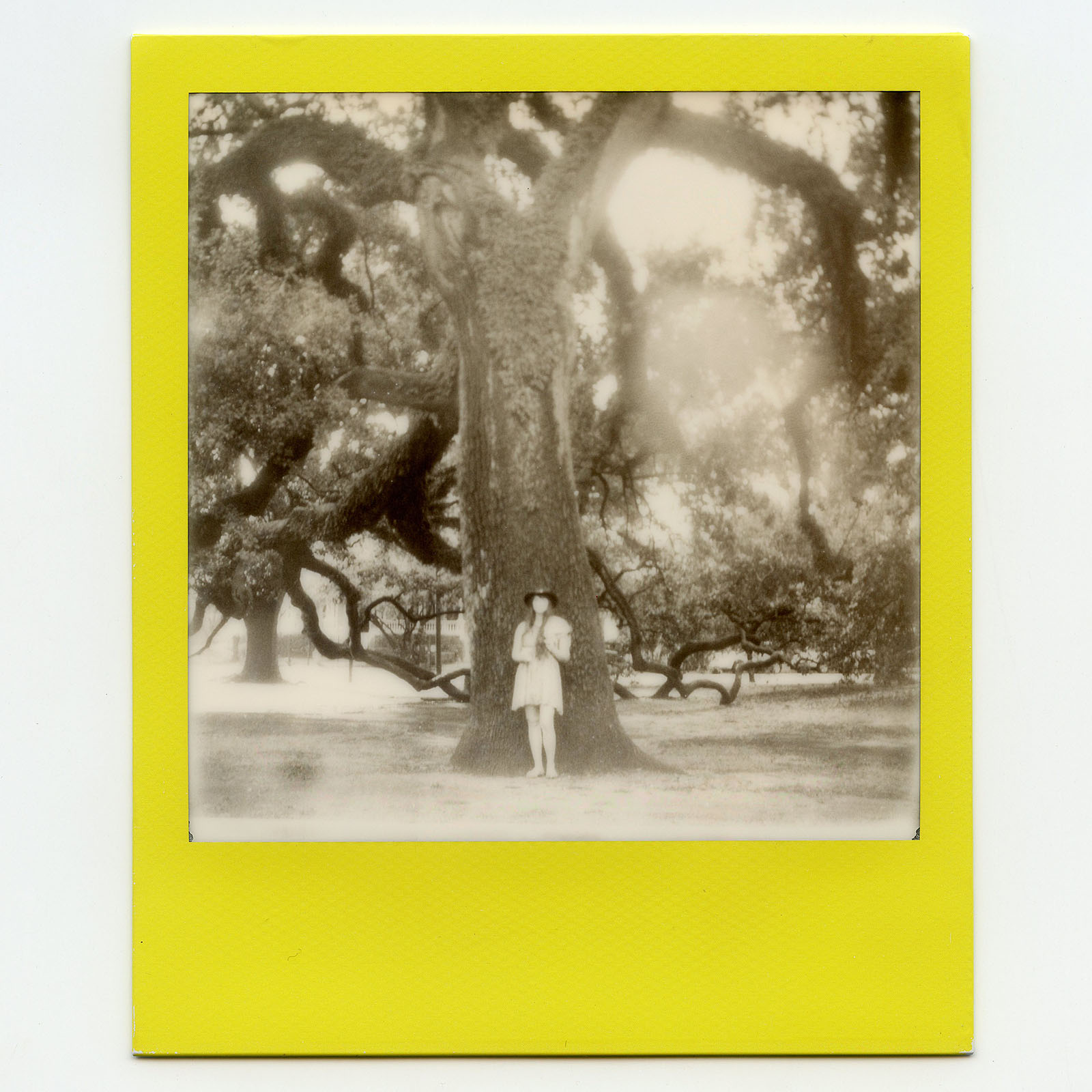 Polaroid of a woman standing under an oak tree in New Orleans, LA