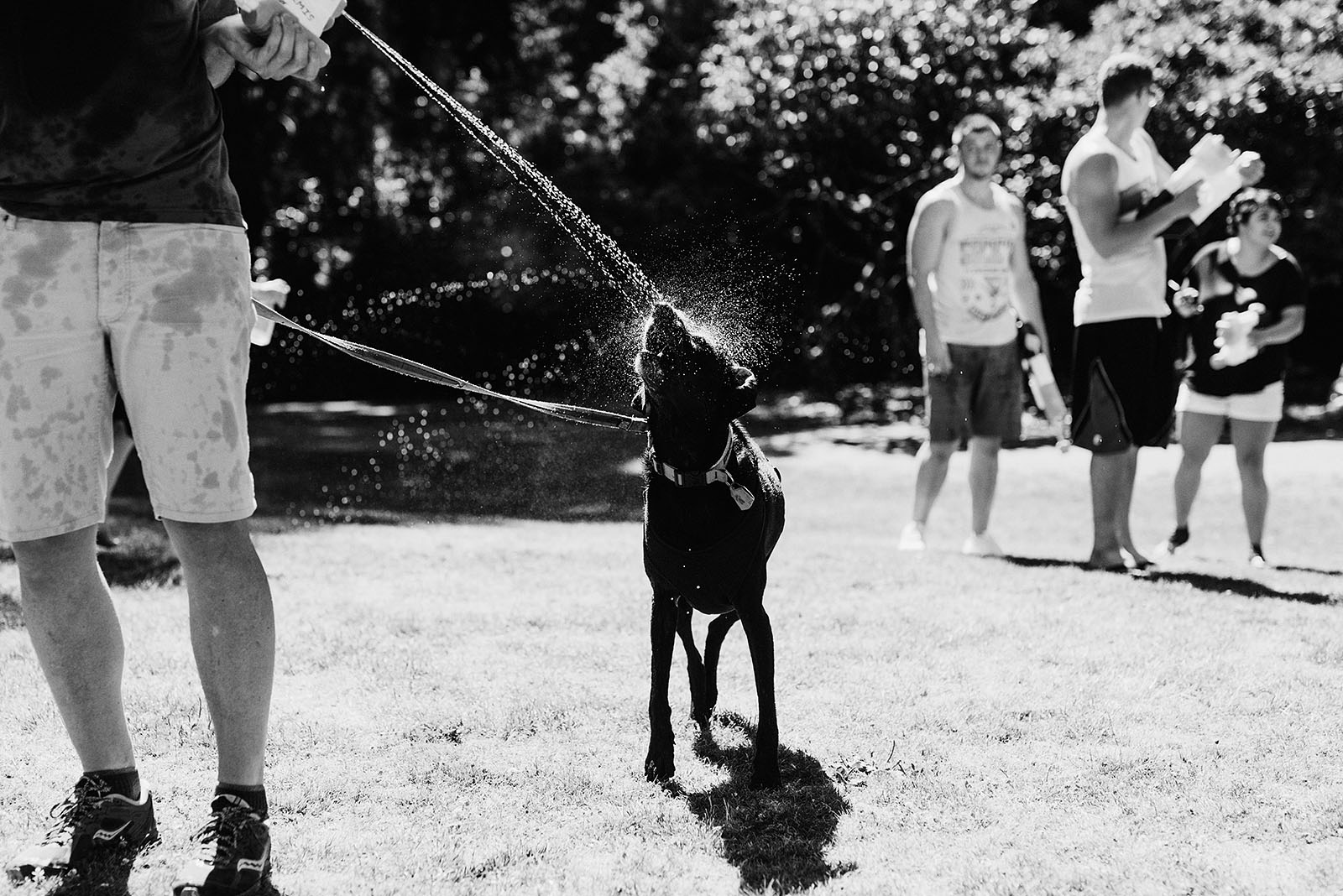 Public Water Gun Fight in Laurelhurst Park