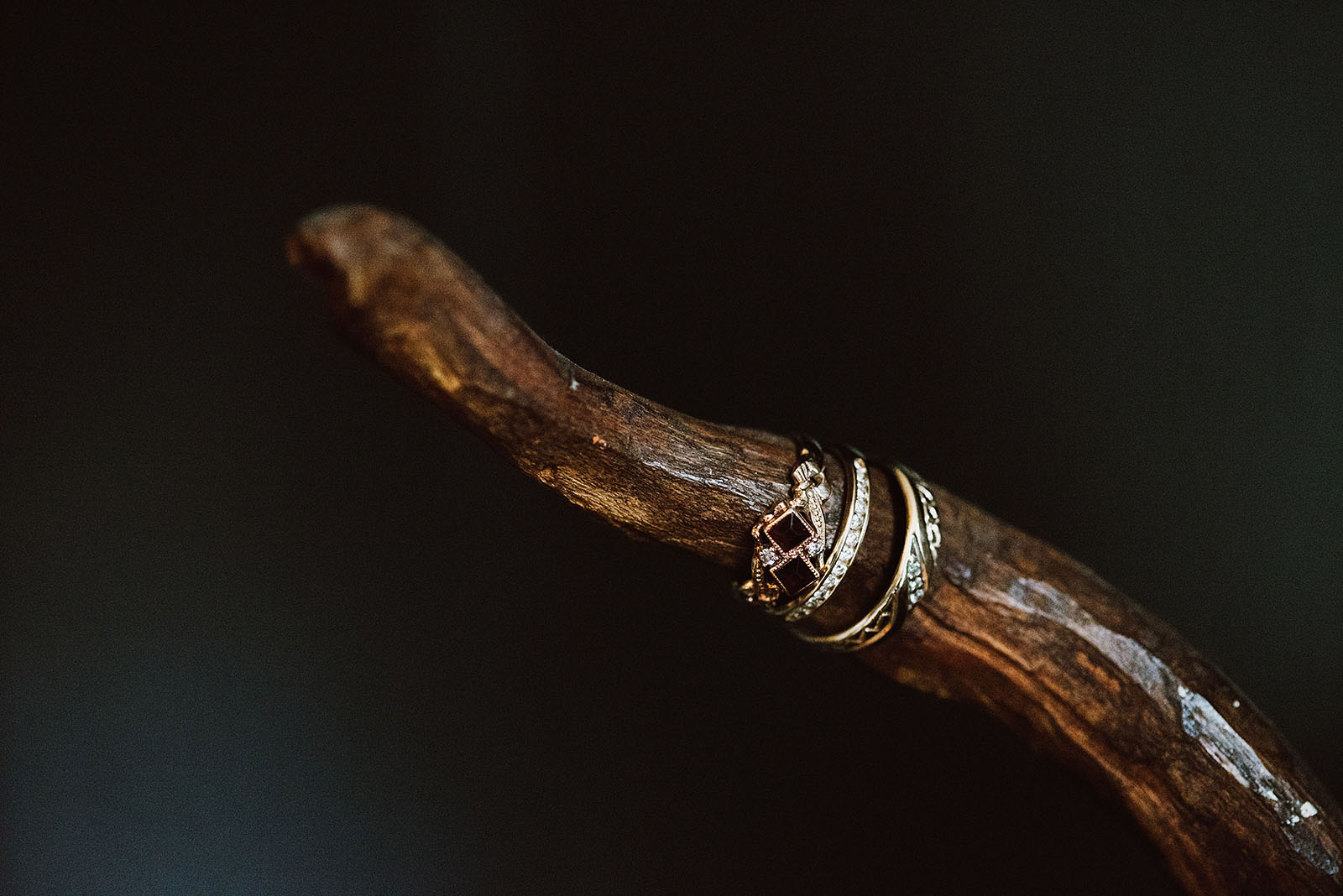 Engagement rings photographed on a crooked wooden stick - The Colony St Johns Wedding in Portland, OR