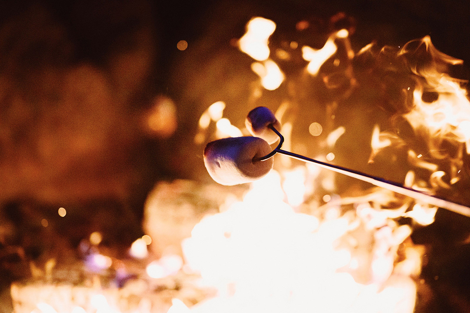 Marshmallows being roasted over a fire pit at Hollenbeck Park - Trout Lake Wedding, WA