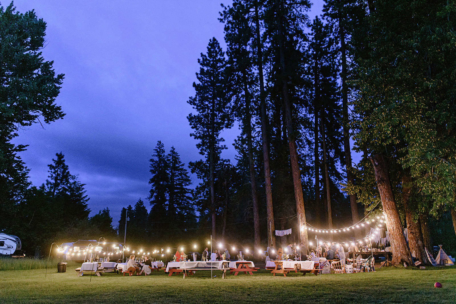 String lights surrounding a late night reception at Hollenbeck Park - Trout Lake Wedding, WA