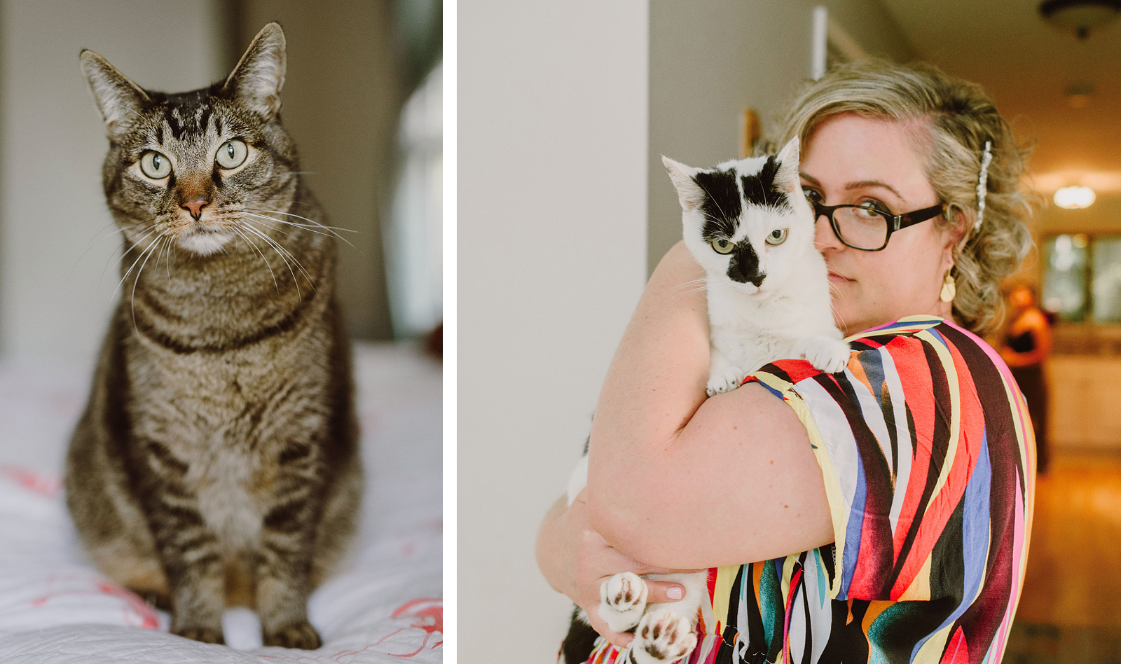 Portrait of bride and her house cats - Oaks Pioneer Church Wedding