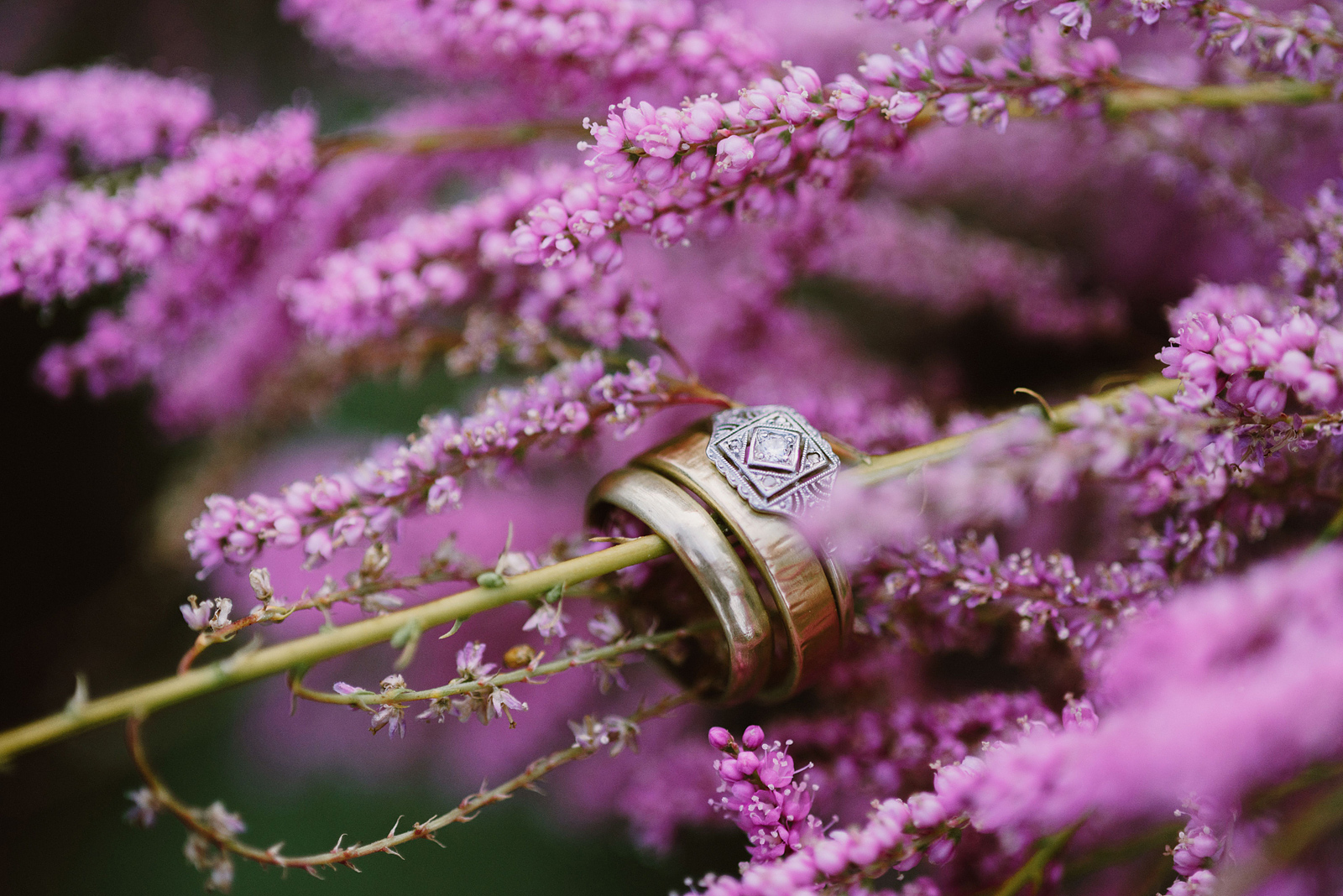 Detail shot of wedding rings resting on a branch of purple flowers” title=